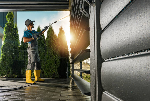 Best Graffiti Removal  in Andalusia, IL